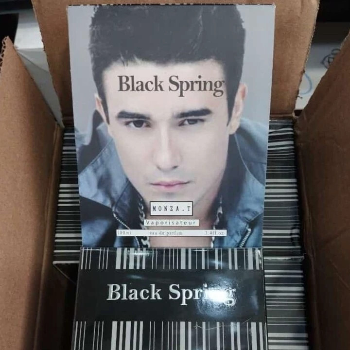 ادکلن بلک اسپرینگ مردانه ۱۰۰ میل (BLACK SPRING)